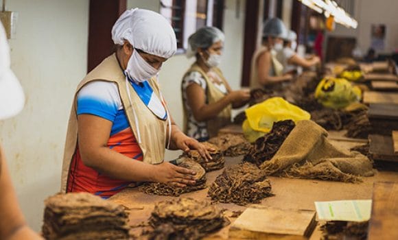 6 ways Microsoft Dynamics 365 Business Central helps SMBs boost employee productivity